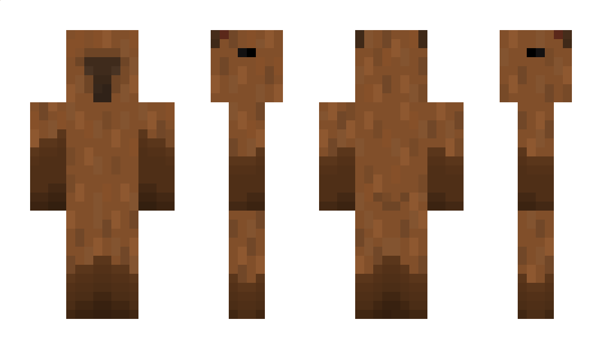 Karaj Minecraft Skin