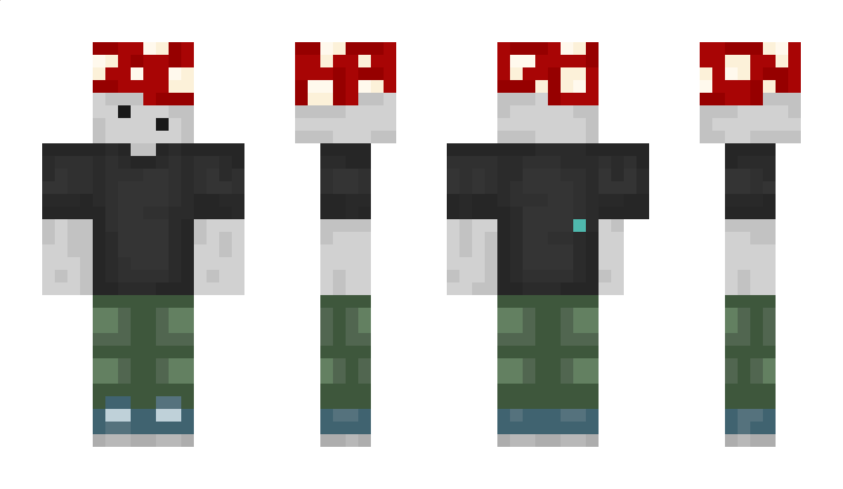 werj_ Minecraft Skin