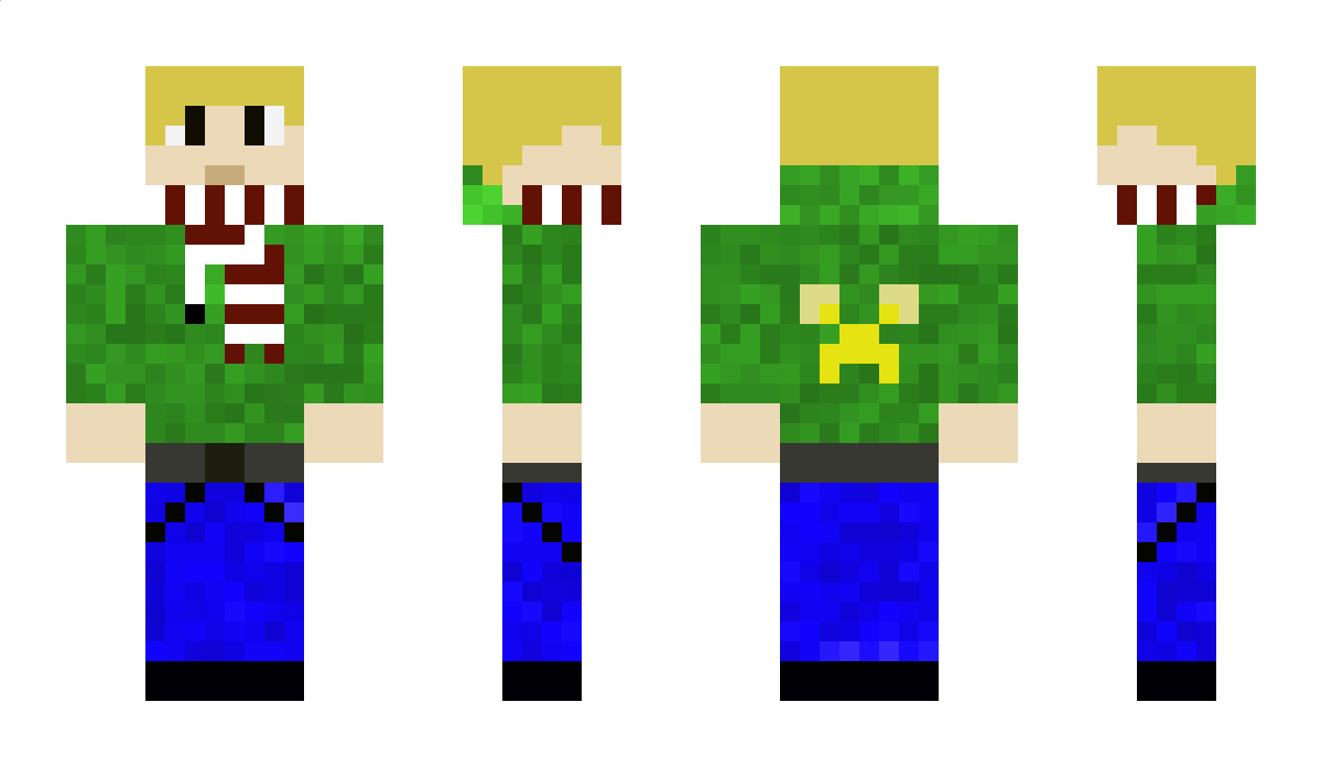 didi2 Minecraft Skin