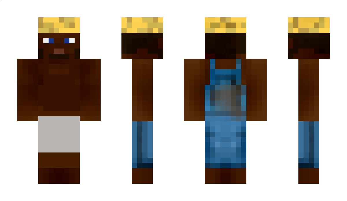 Schwimmschule Minecraft Skin