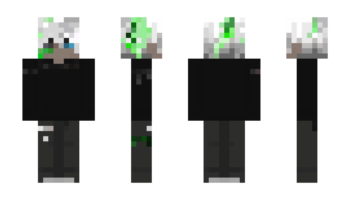 wintersis790 Minecraft Skin