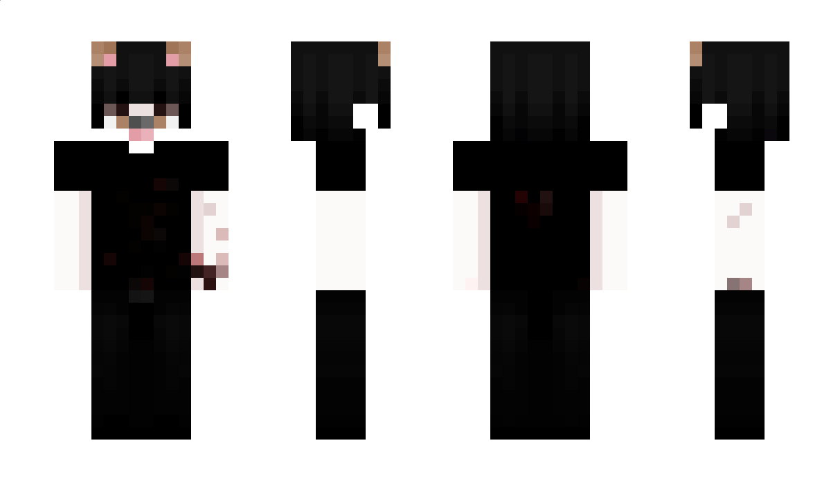 27air Minecraft Skin