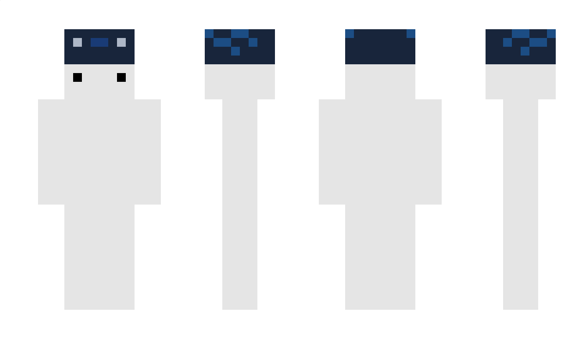 v1sionary21 Minecraft Skin