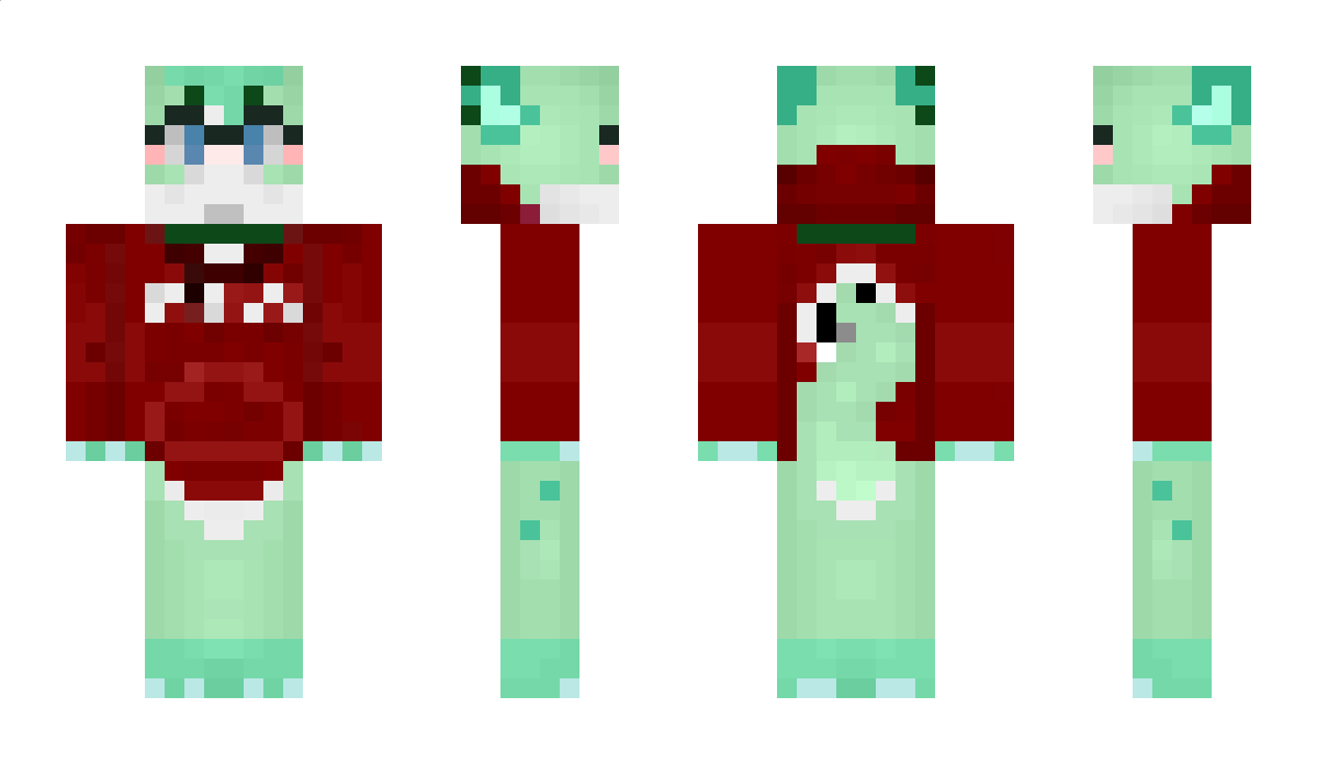 toquidapus Minecraft Skin