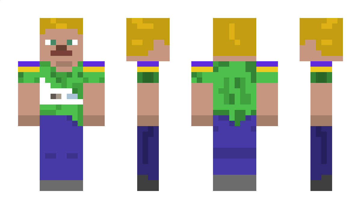 Planefull Minecraft Skin