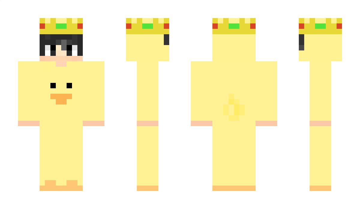 Duke0fDuck Minecraft Skin