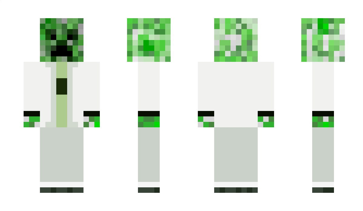 Toadcoucou116 Minecraft Skin