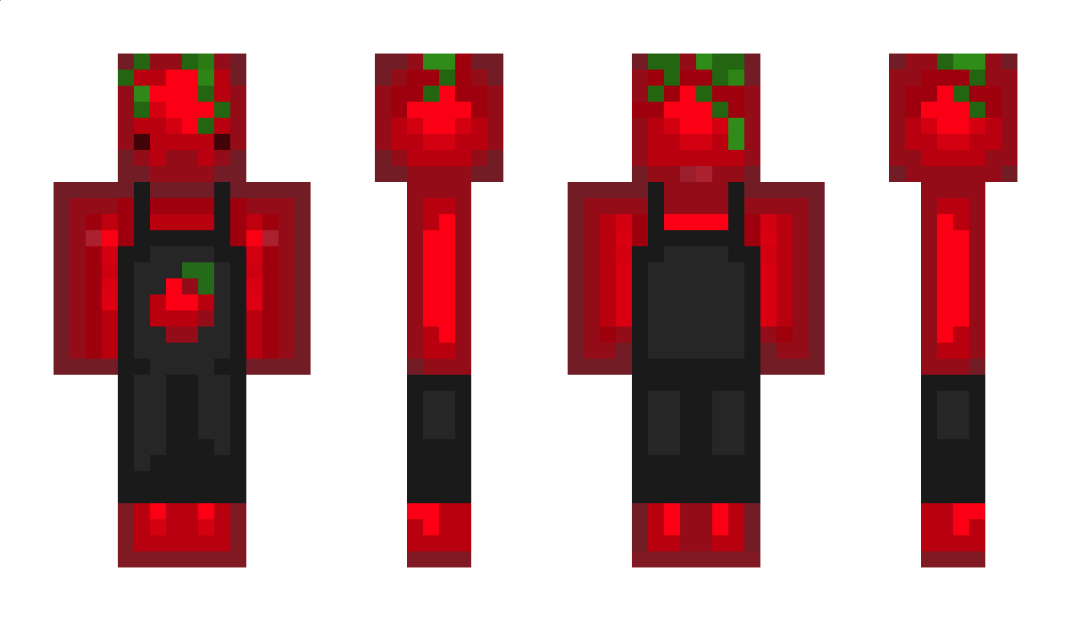 Happytokes Minecraft Skin