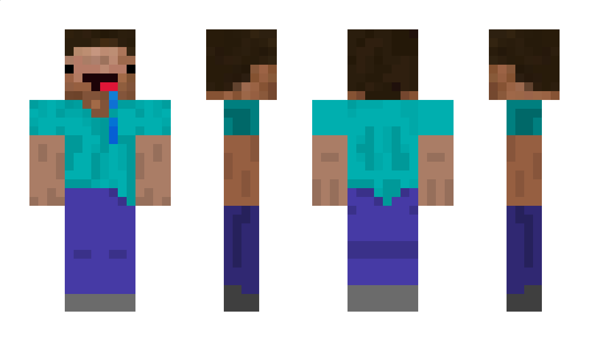 pen Minecraft Skin