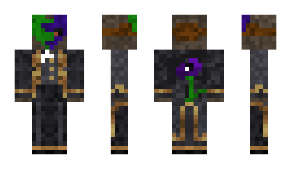 ENTr0_PI Minecraft Skin