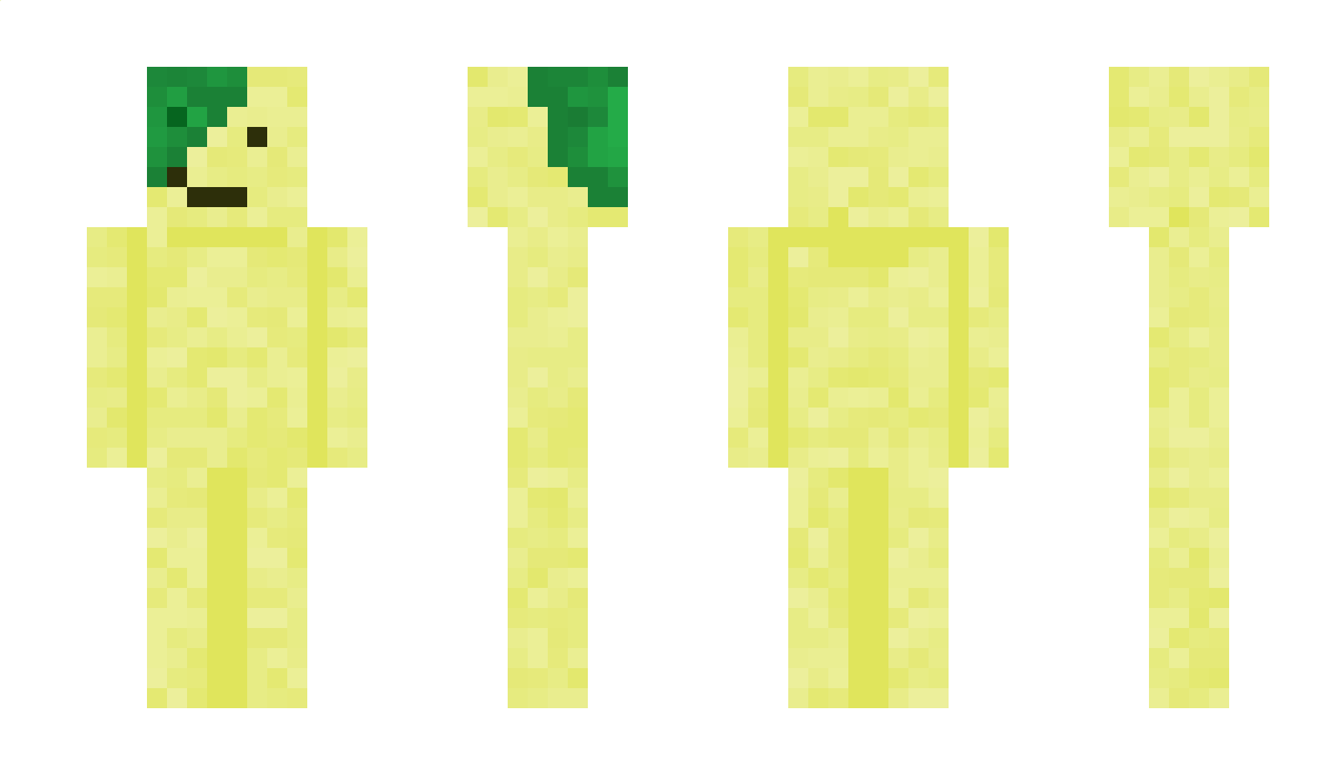 S_H_E_esh Minecraft Skin