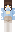 bug_carnival Minecraft Skin