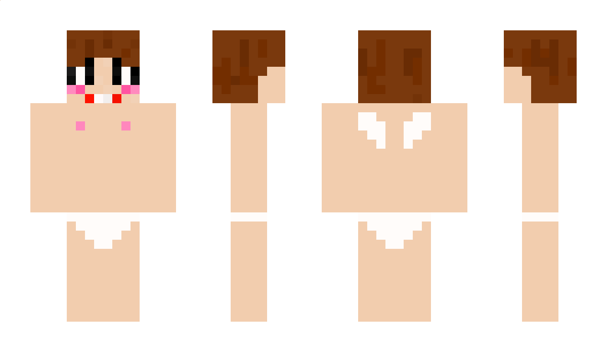 Pengda Minecraft Skin