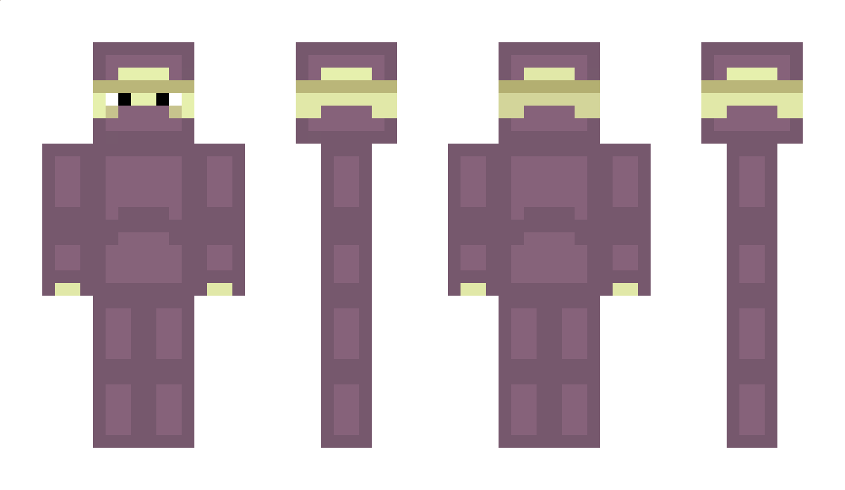 ShulkerHD Minecraft Skin