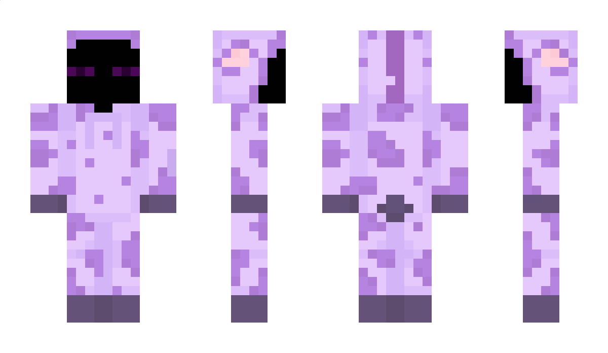 EnderFliege Minecraft Skin