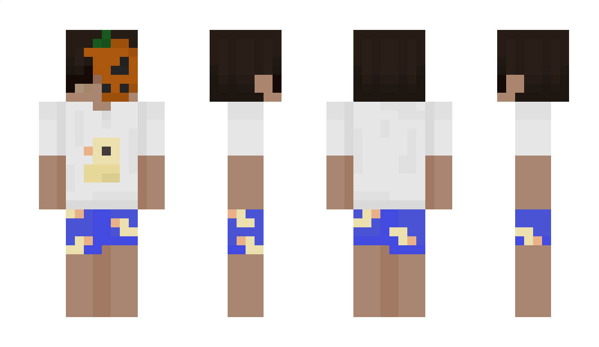 mmoilol51 Minecraft Skin