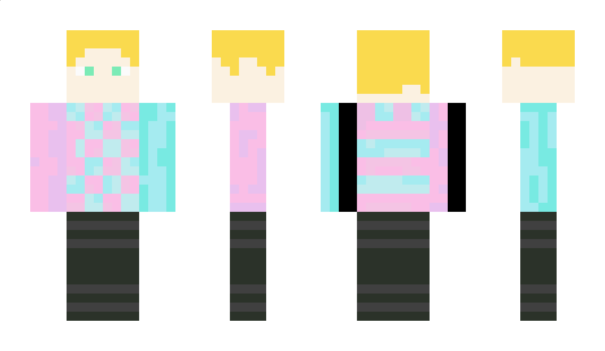 Nintendus73 Minecraft Skin