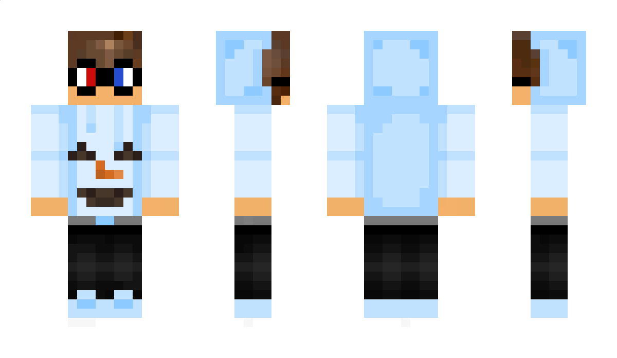 Interweb Minecraft Skin