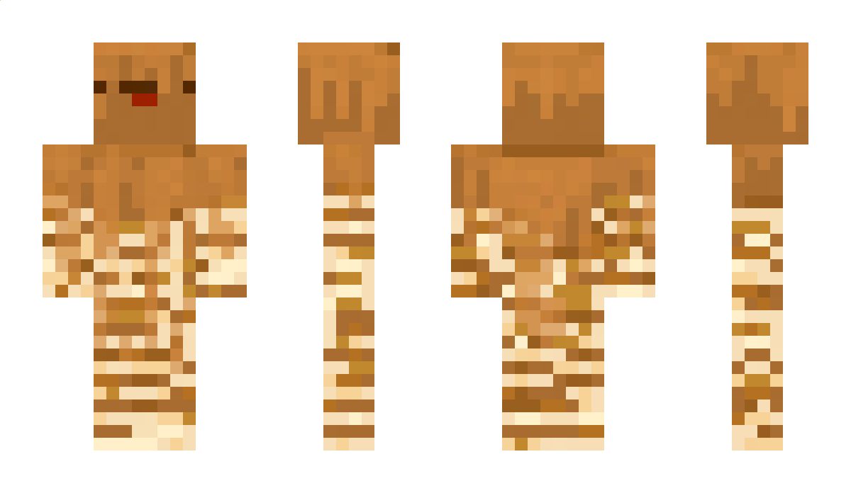 mr__poncake Minecraft Skin