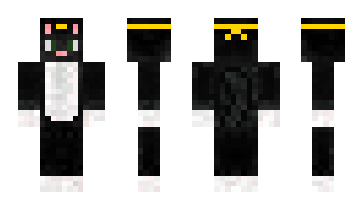 medwyn Minecraft Skin