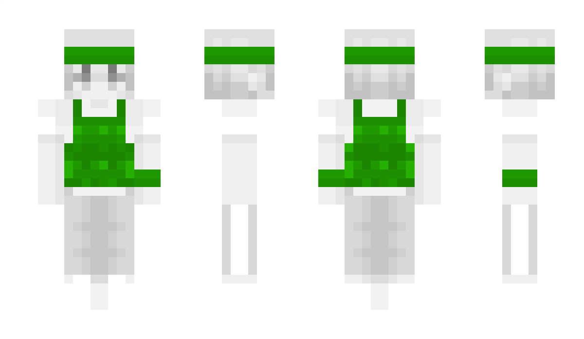 v_25 Minecraft Skin