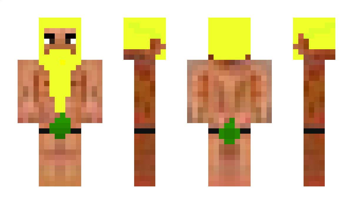 Hxrry Minecraft Skin