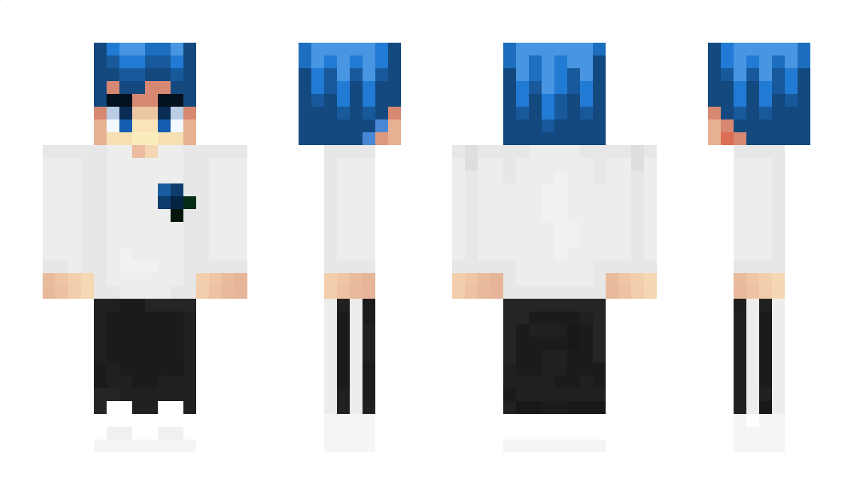 Snide Minecraft Skin