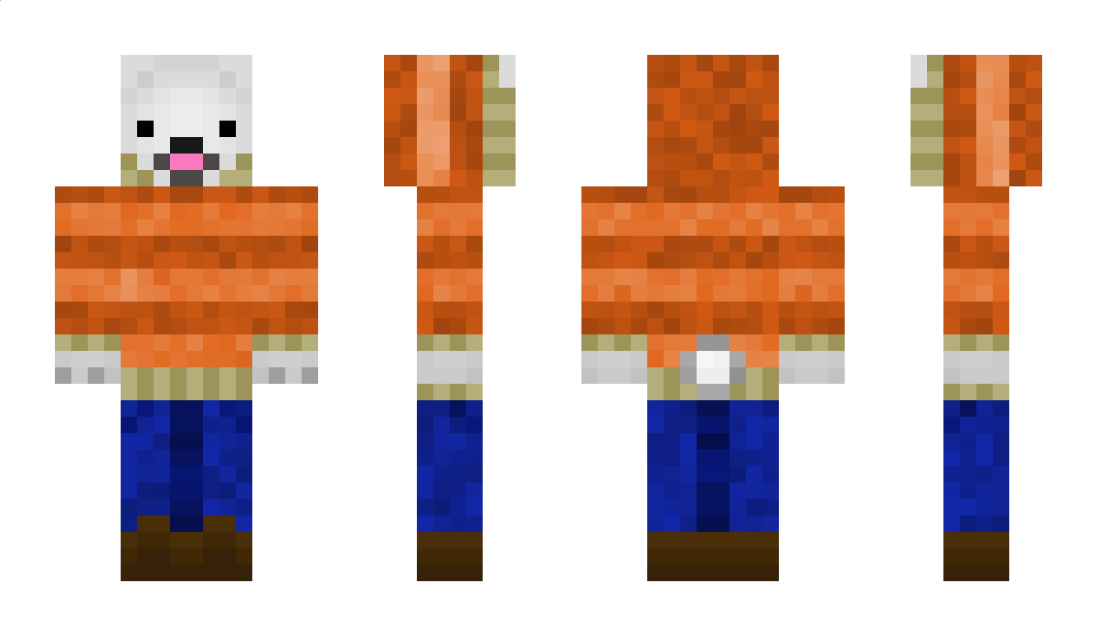 koudeijsbeer Minecraft Skin