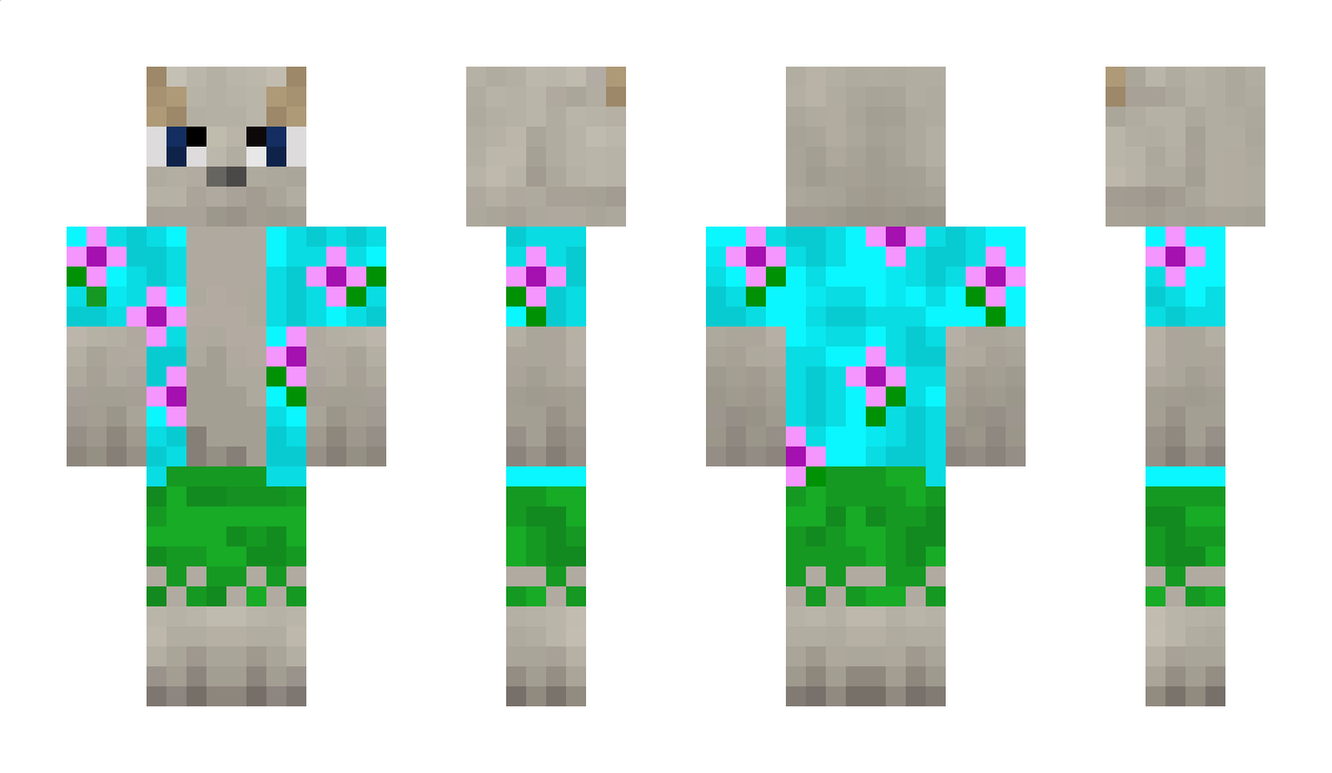 Skyalar Minecraft Skin