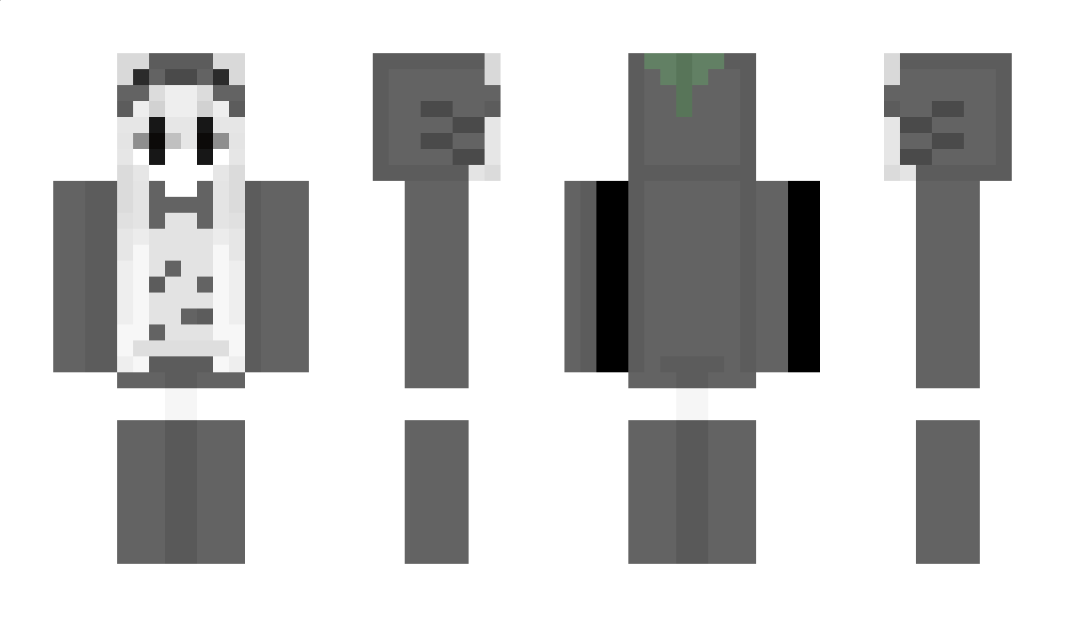 rsb Minecraft Skin