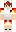 The_Louigi_05 Minecraft Skin