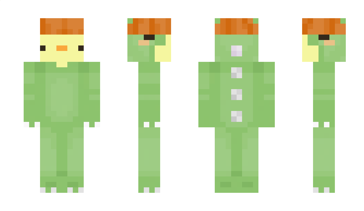 SWE_kakan Minecraft Skin