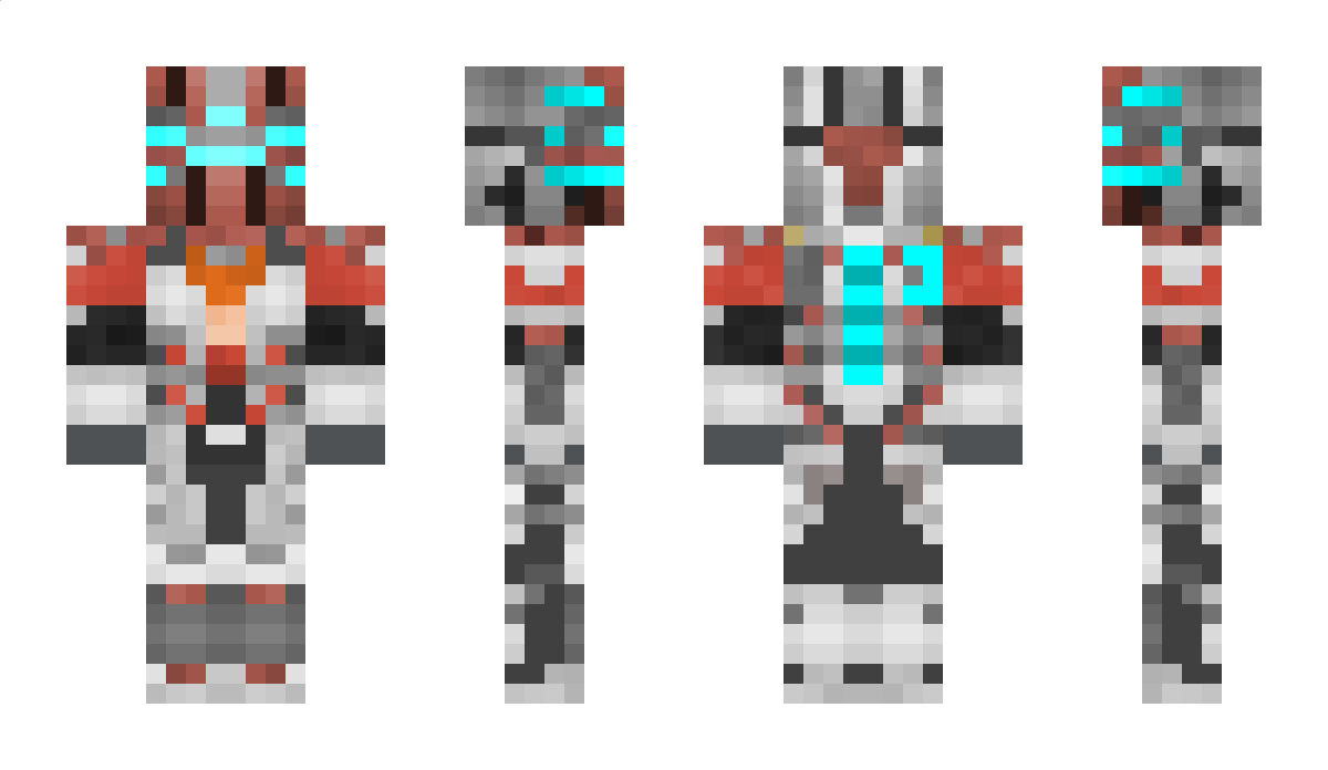 fdss Minecraft Skin