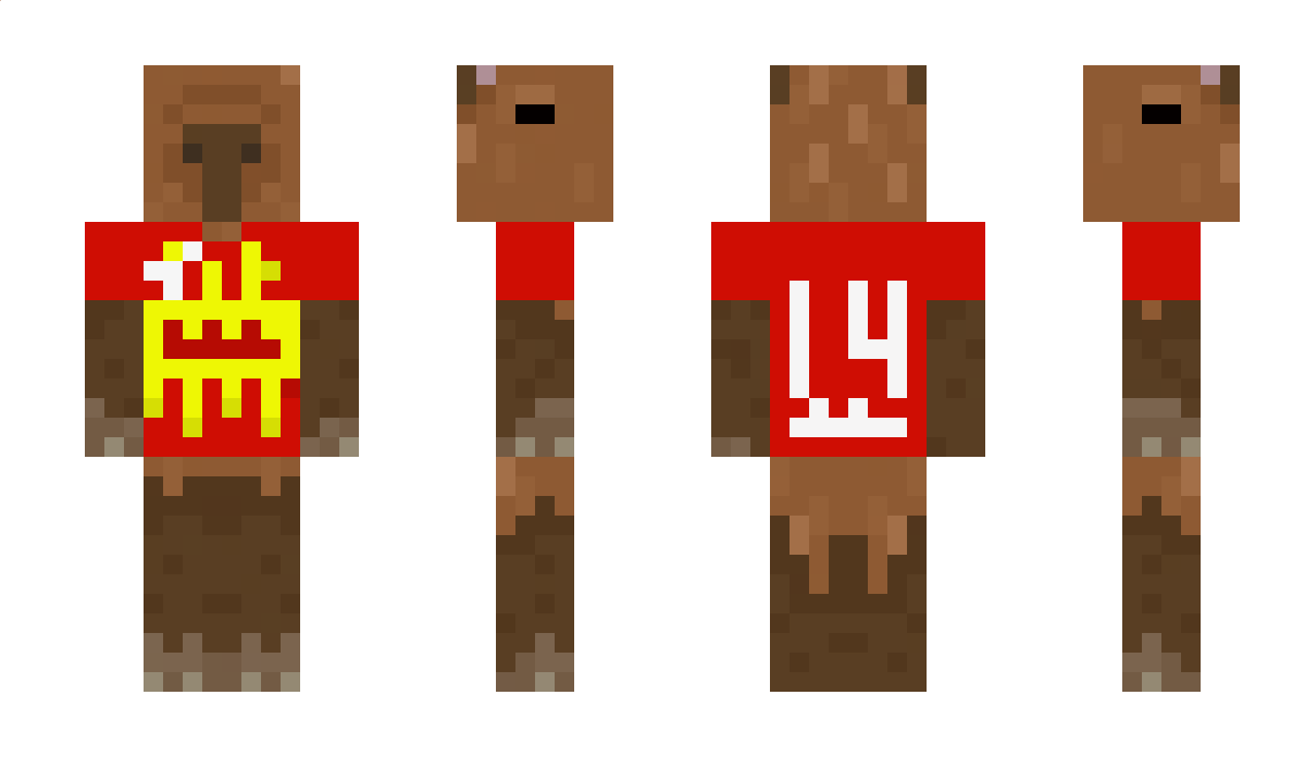 SHB1004 Minecraft Skin