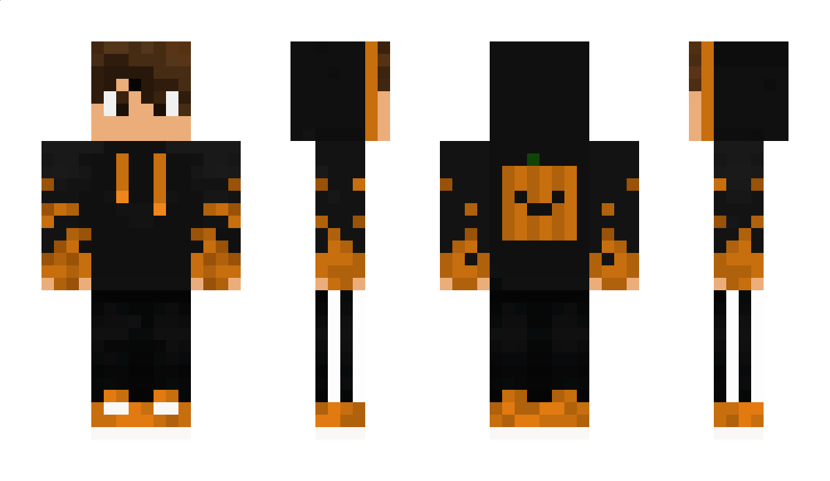 DIRTT Minecraft Skin