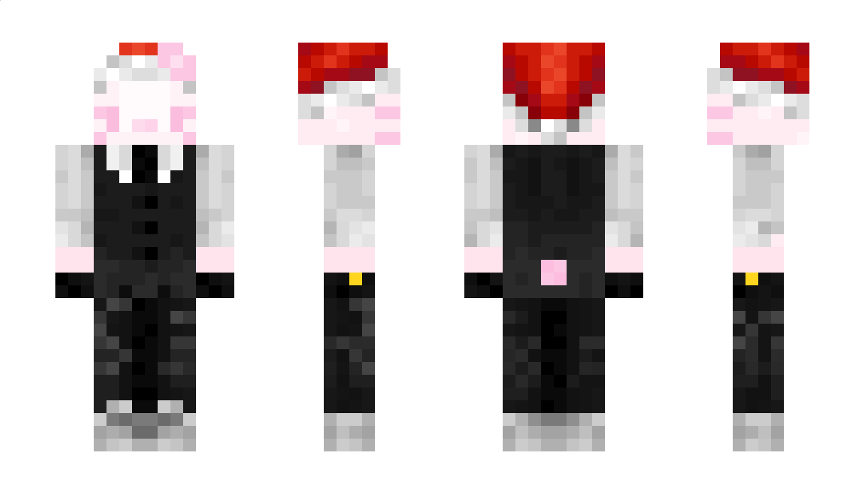 KittycatMax Minecraft Skin