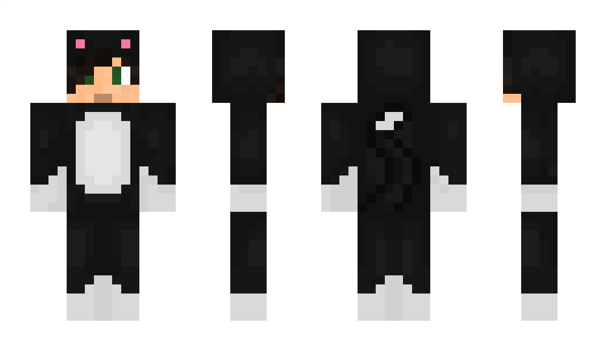 Ayoub6669 Minecraft Skin