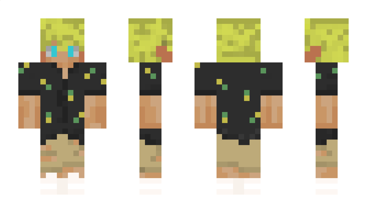 MeisterAkim Minecraft Skin