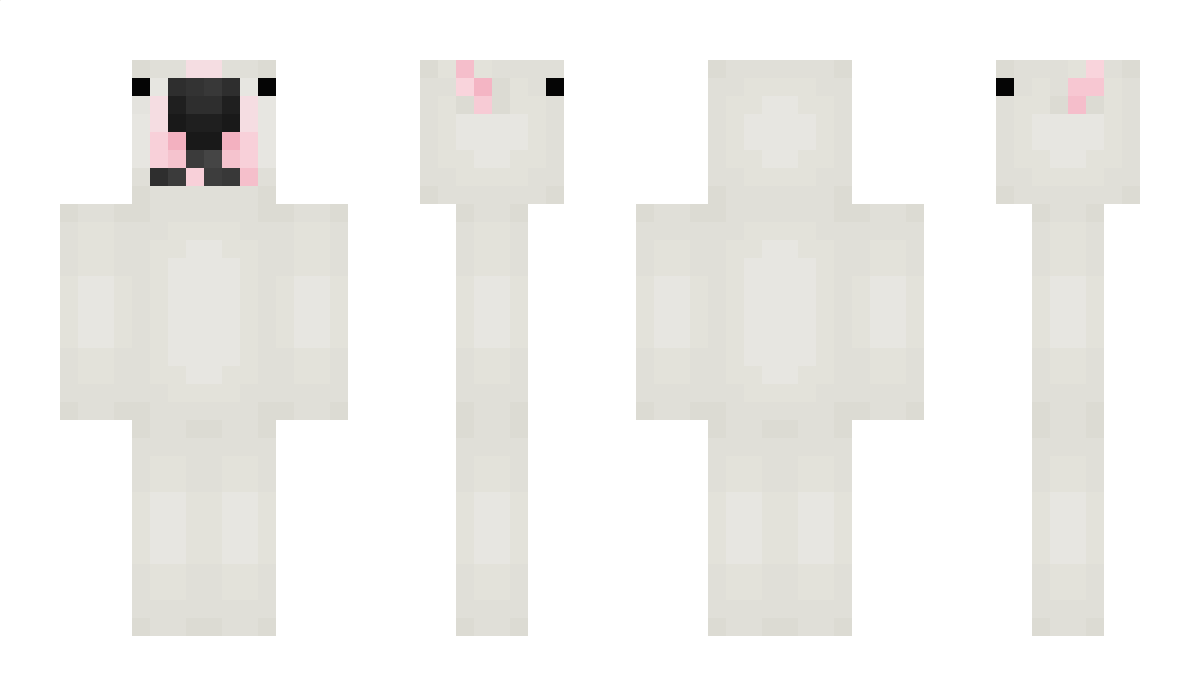 Timidity Minecraft Skin