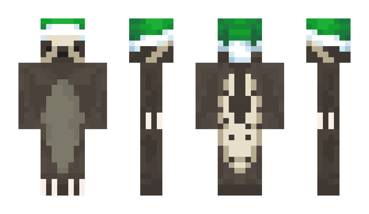 slothythesloth2 Minecraft Skin