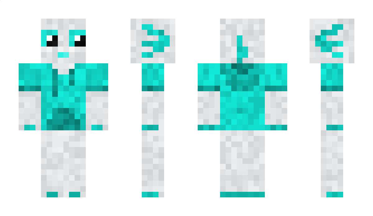 Mitti1010 Minecraft Skin