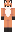 firecj Minecraft Skin