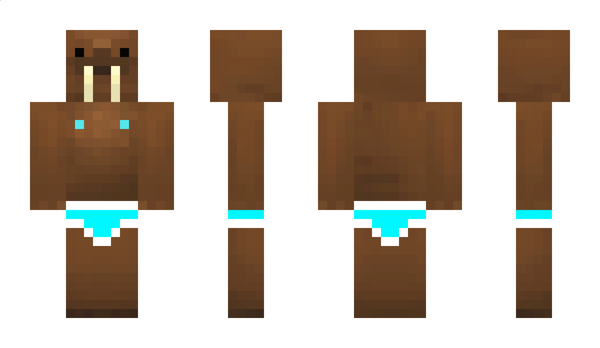 Crusader Minecraft Skin