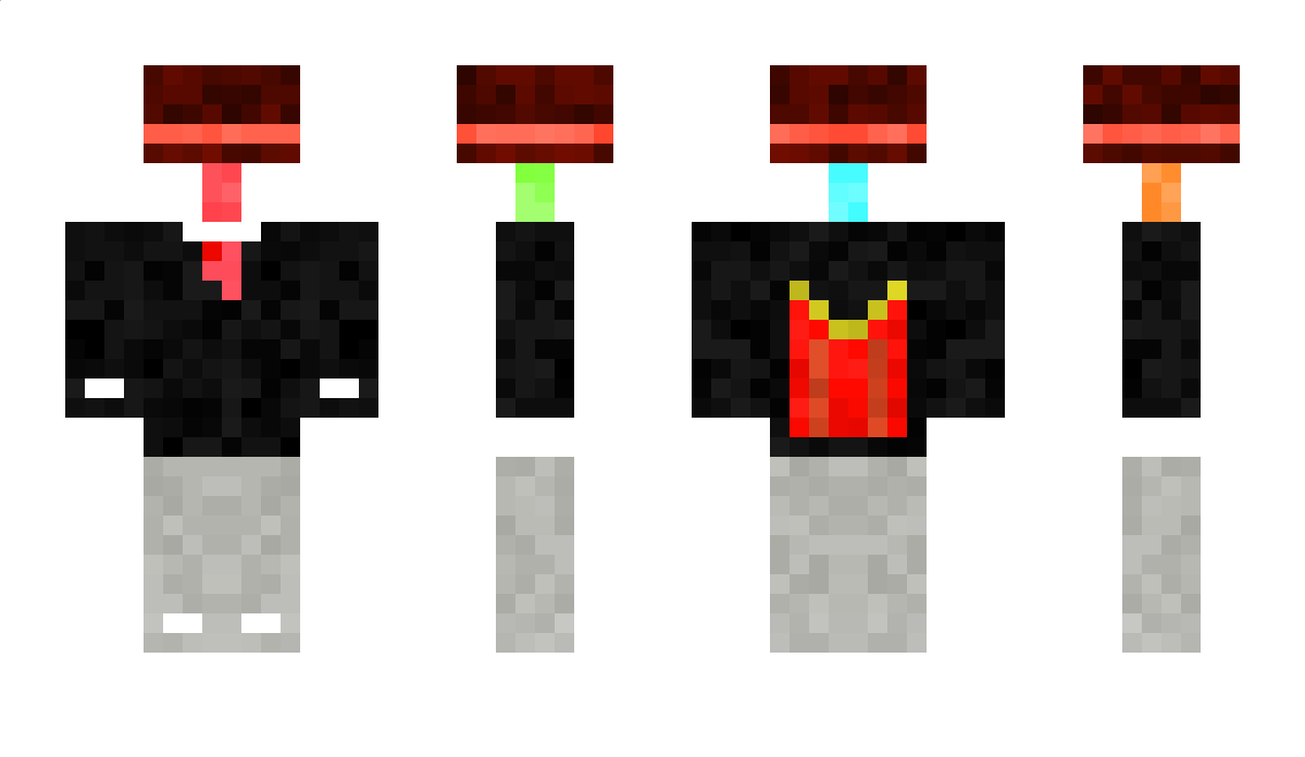 SurvelCat Minecraft Skin