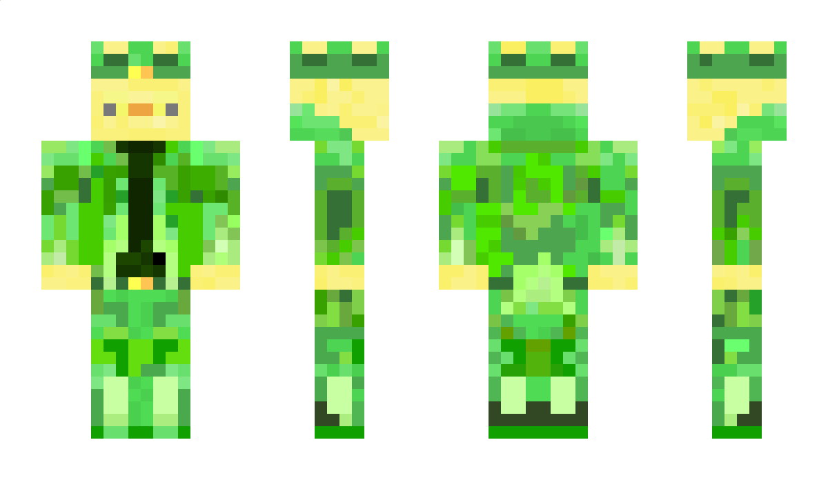 DieEnte11 Minecraft Skin