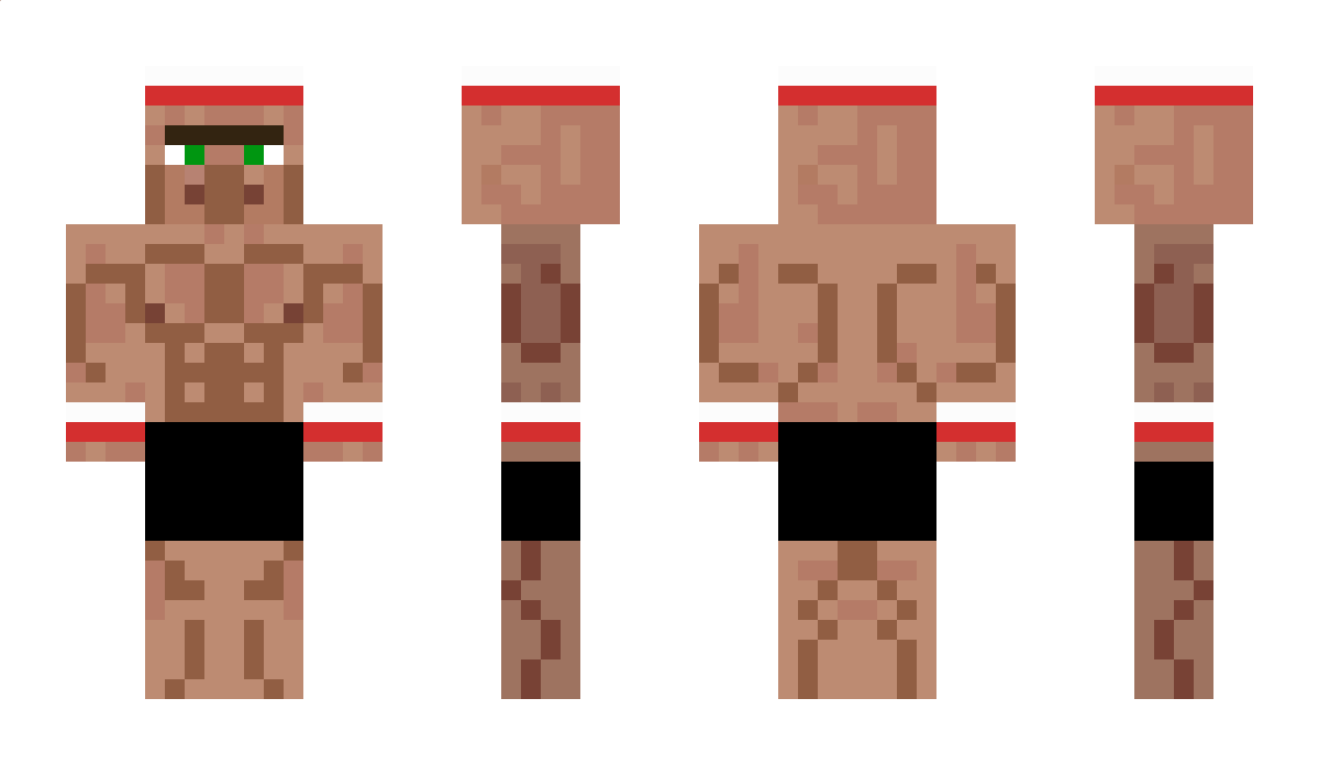 DomiKing1204 Minecraft Skin