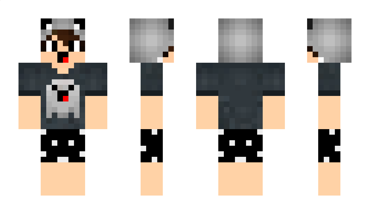 daviminecraft Minecraft Skin