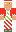 redpikmin5 Minecraft Skin