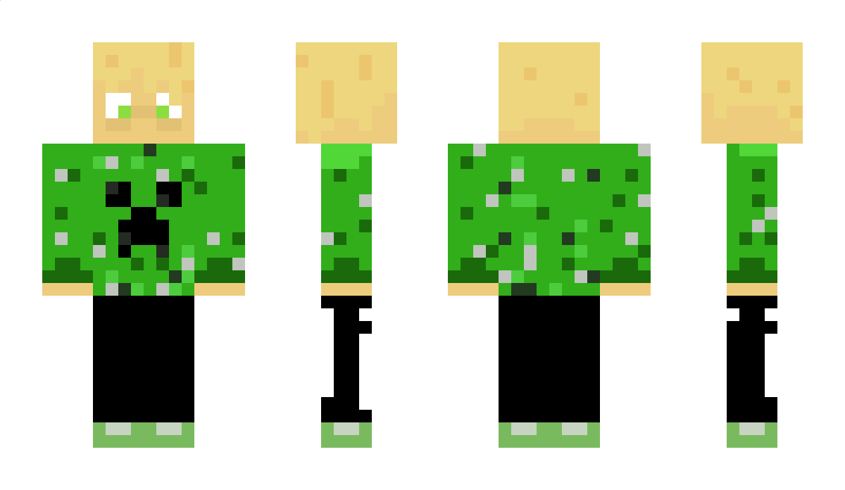 Liwek123 Minecraft Skin