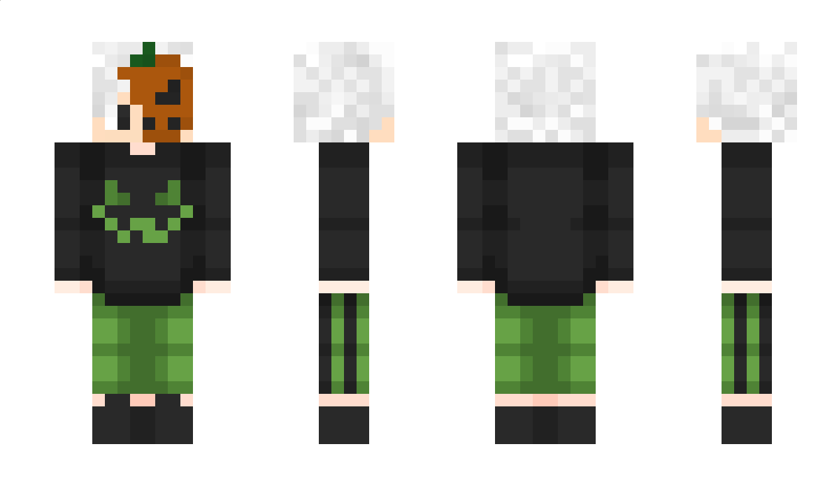 Robertico09 Minecraft Skin